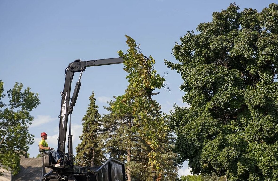 Emergency Tree Services service in Carson, CA