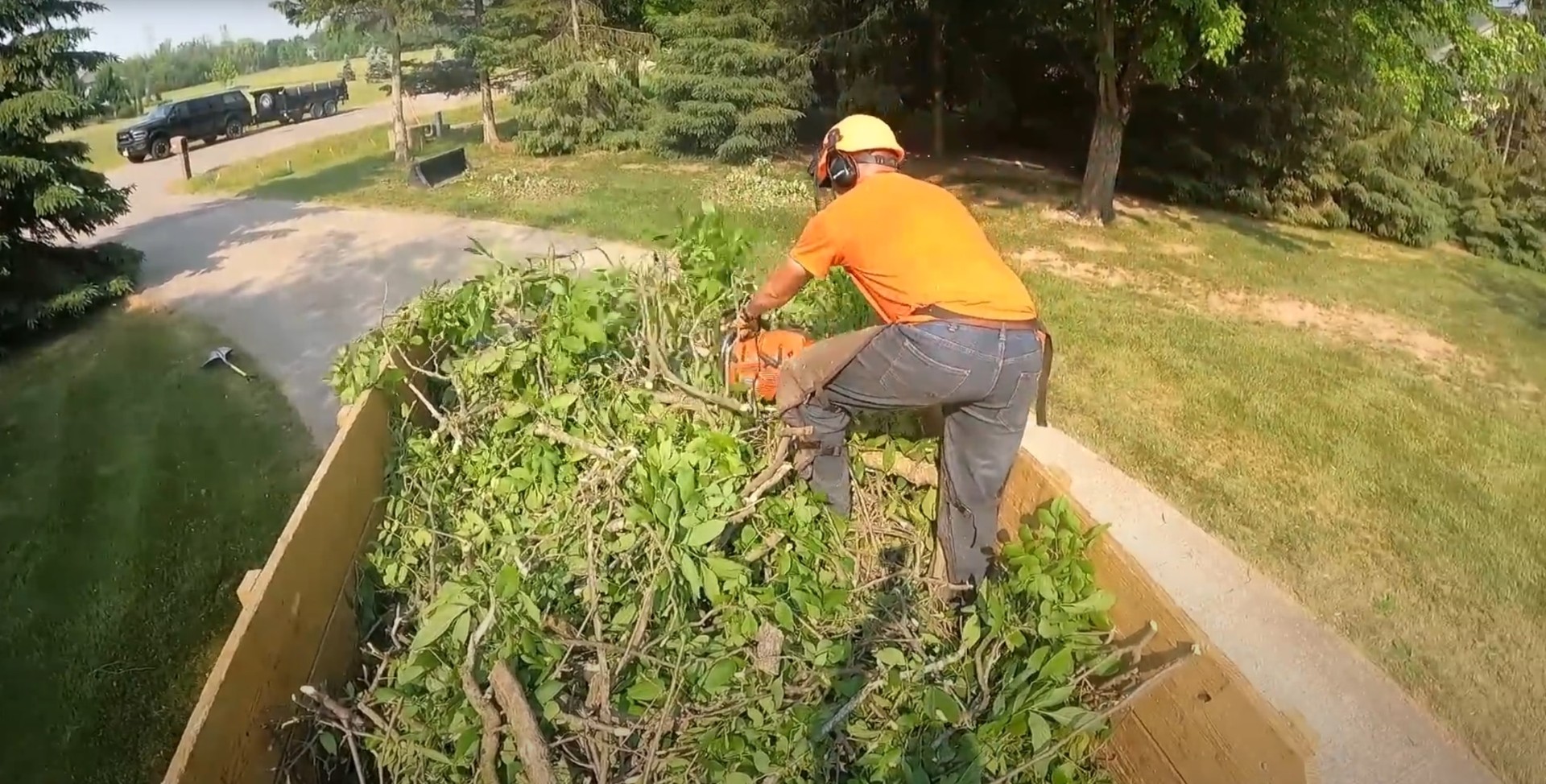 Expert stump removal and grinding services Professional chainsaw operator performing stump grinding work