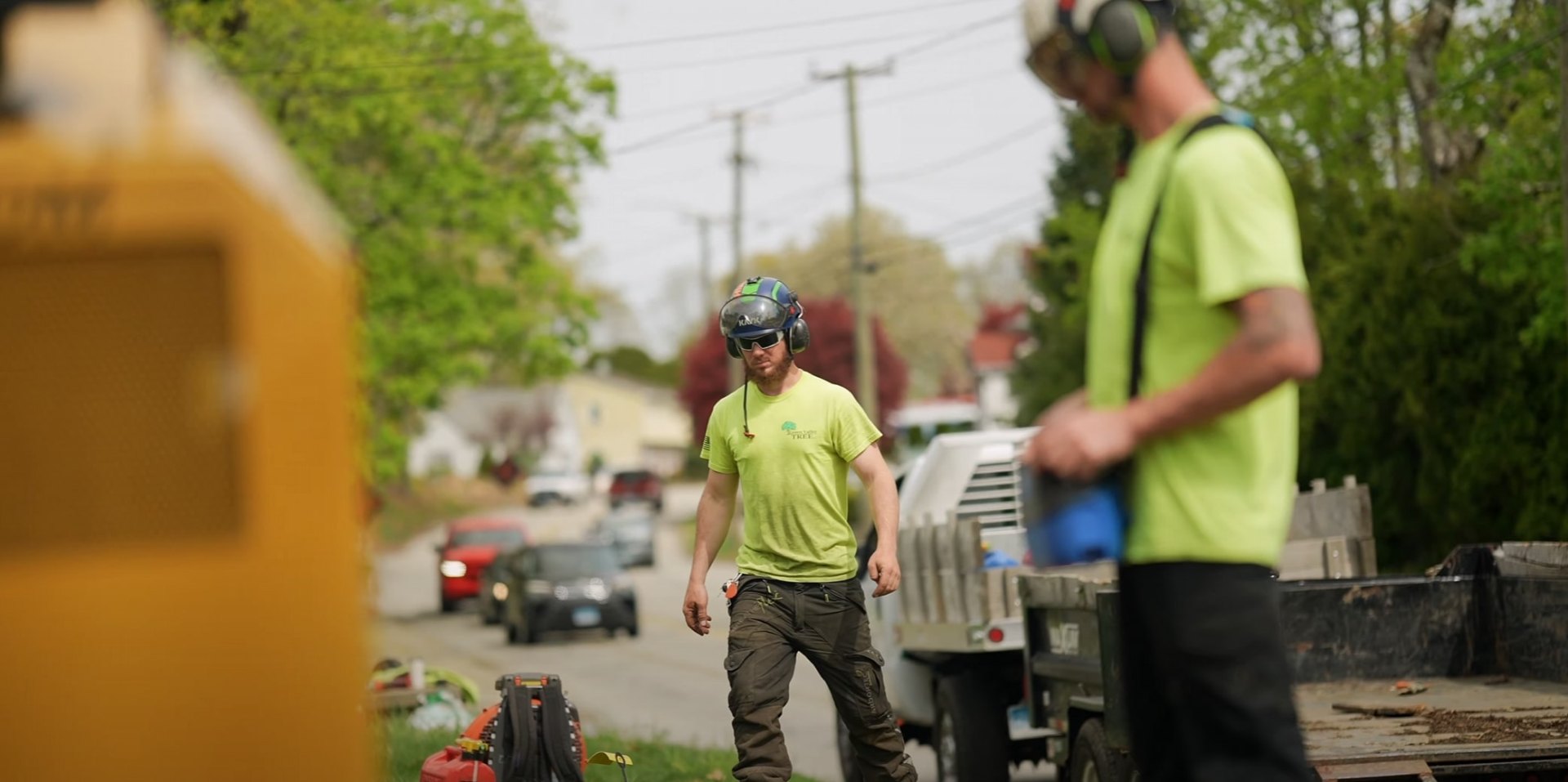 Tree safety assessment and liability considerations Tree service professional assessing tree safety and potential hazards