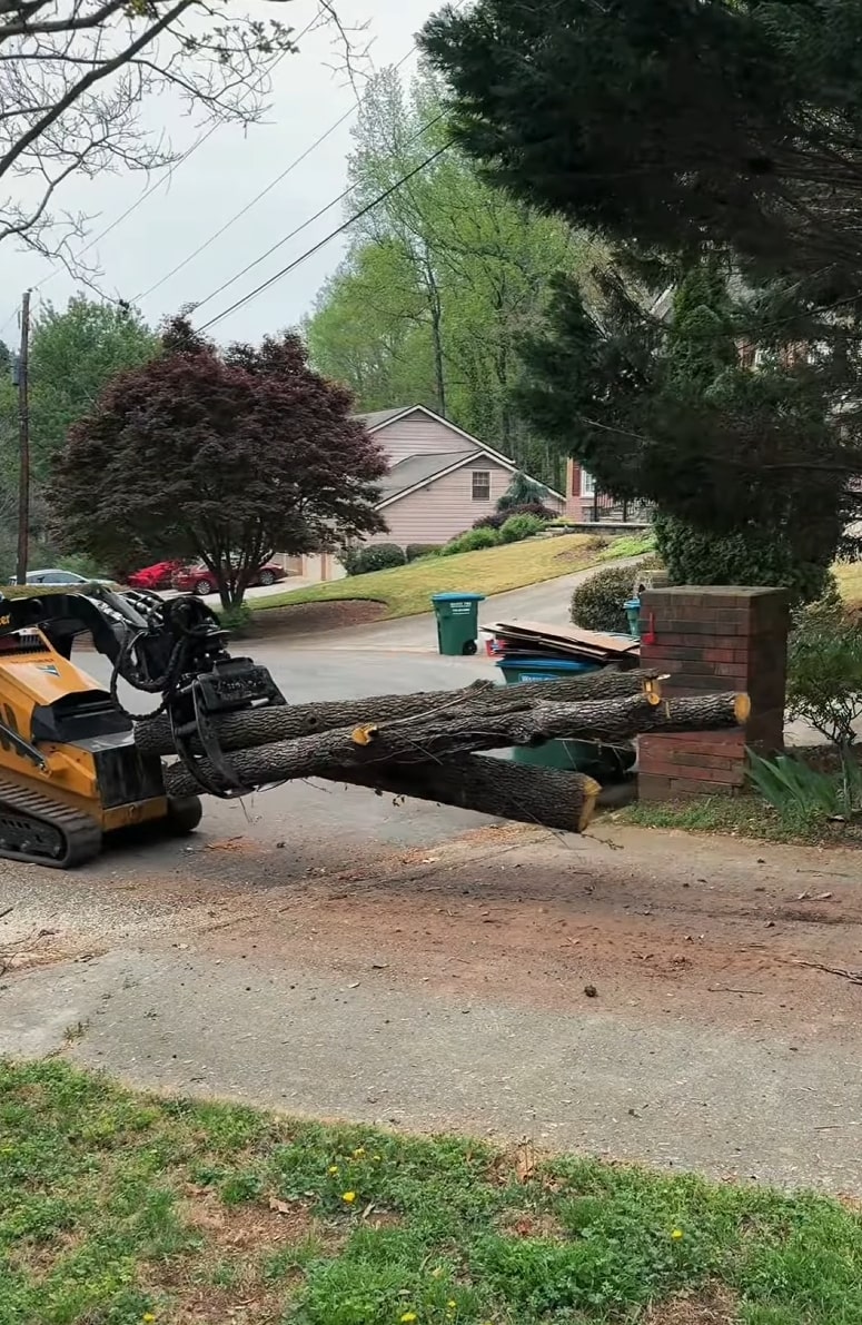 Professional tree service equipment and machinery Tree service equipment and tools for professional tree care in Carson, CA