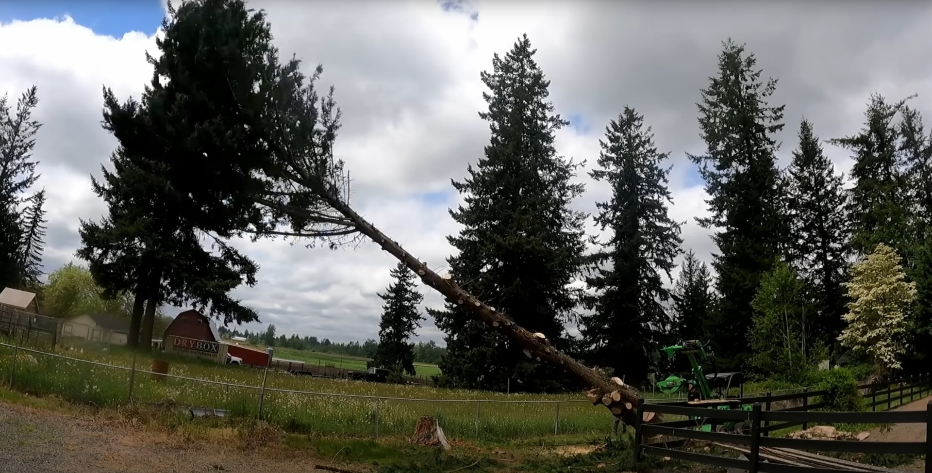 Professional stump grinding process demonstration showing before and after